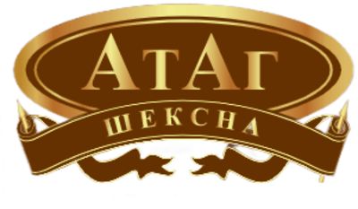 Ип Кислицина М.В