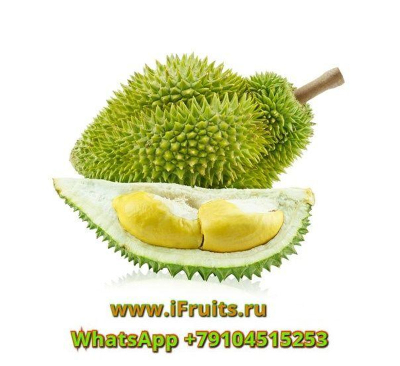 Купить Дуриан С Доставкой По России Недорого