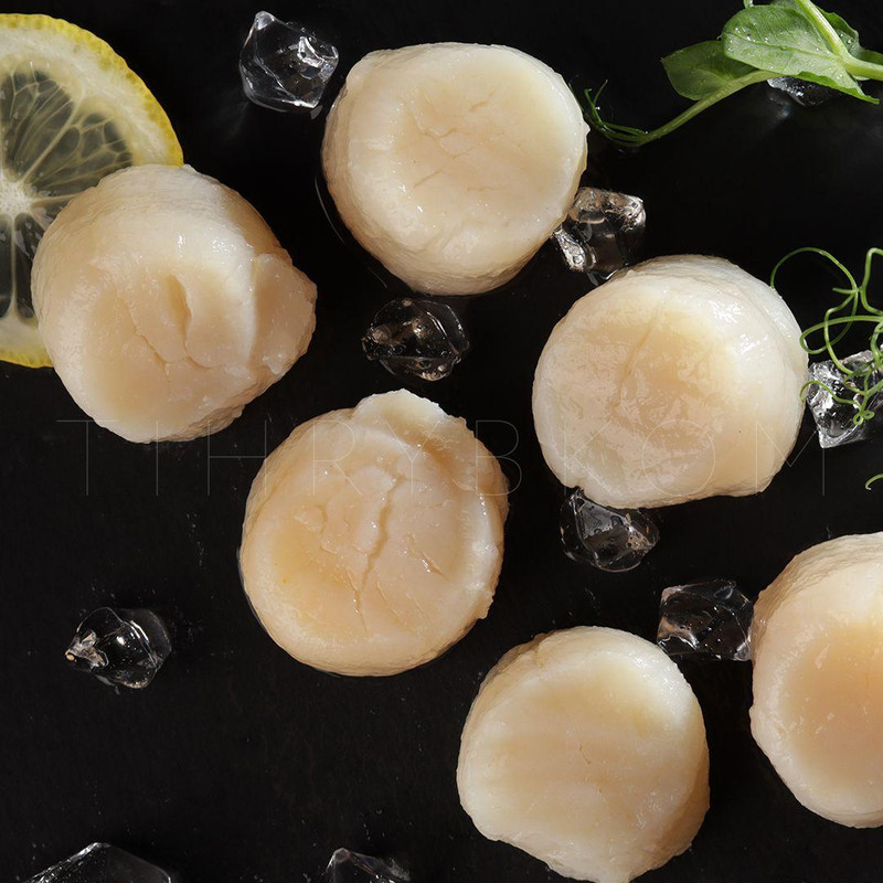 гребешок дальневосточный филе. морские гребешки сухие. мясо морского гребешка.