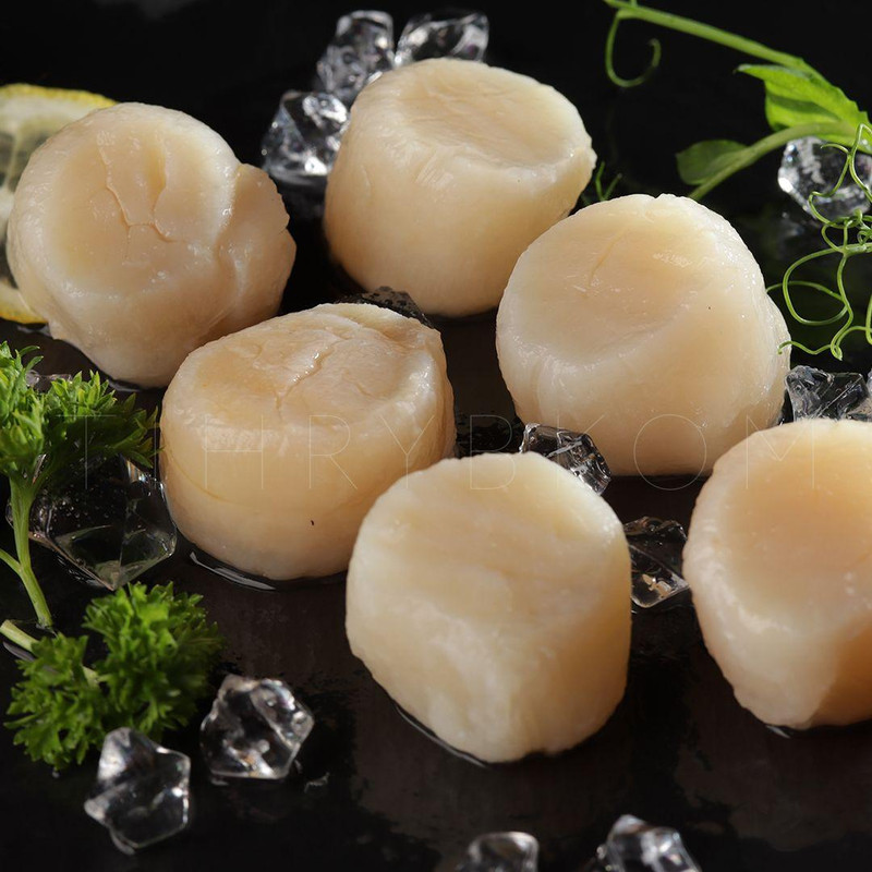 филе морского гребешка