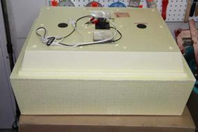 Инкубатор Золушка 70 Яиц Купить