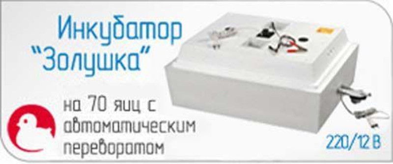 Инкубатор Золушка 70 Яиц Купить