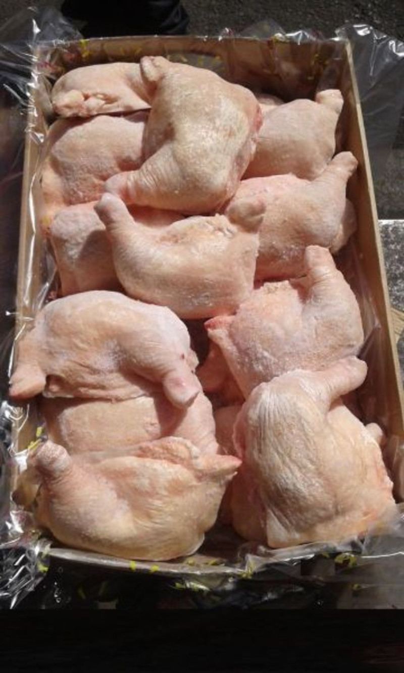 Четвертина курицы. Окорочка куриные оптом. Филе окорочка куриное. Окорочка коробка. Замороженная курица.