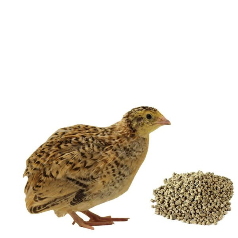 Комбикорм Для Перепелов Купить В Самаре