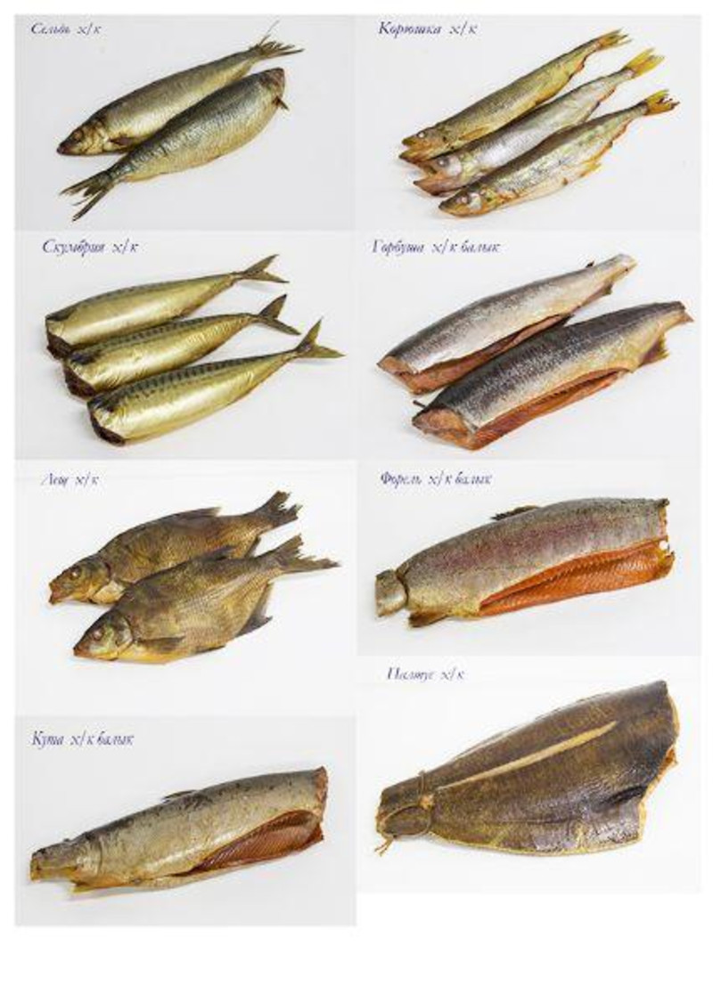Какую рыбу называют вяленой. Виды разделанной рыбы. Балычные изделия классификация. Ассортимент балычных изделий из рыбы. Виды разделки рыбы.