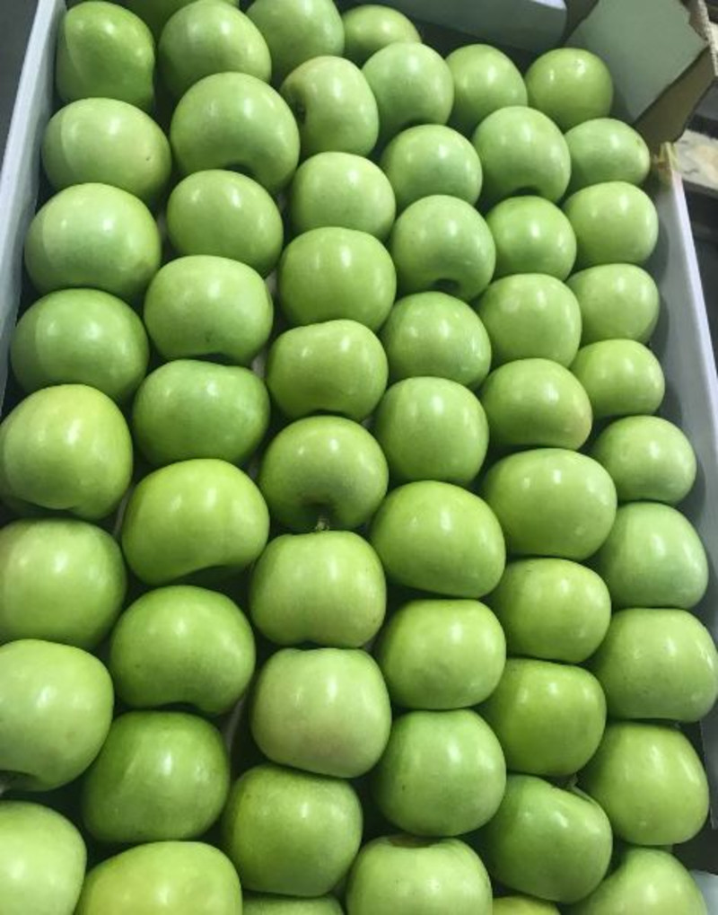 Купить Яблоко Оптом Авито