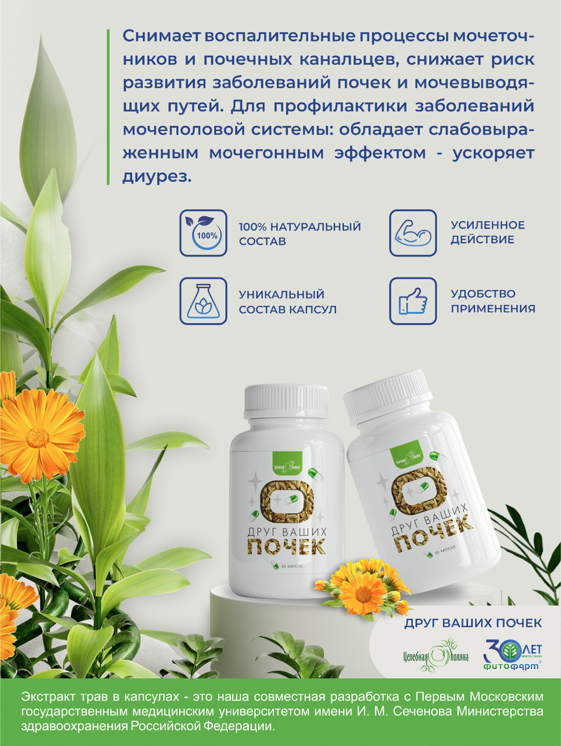 чай друг вашей поджелудочной железы купить целебная поляна. фитофарм сбор "целебная поляна" друг ваших почек ф/п 1,5 г №20. фиточай цветущий луг фитал 6 чага-микс д/желудка 1,5г №20. друг вашей поджелудочной железы фильтр пакеты. фитокапсулы для женщин лр.