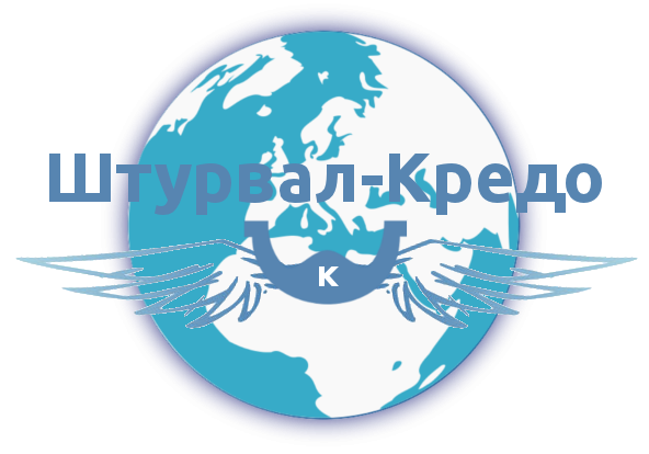 За рулем армавир автосервис. Компания рулю. Компания рулю. Lc group. Ооо тк вектор.